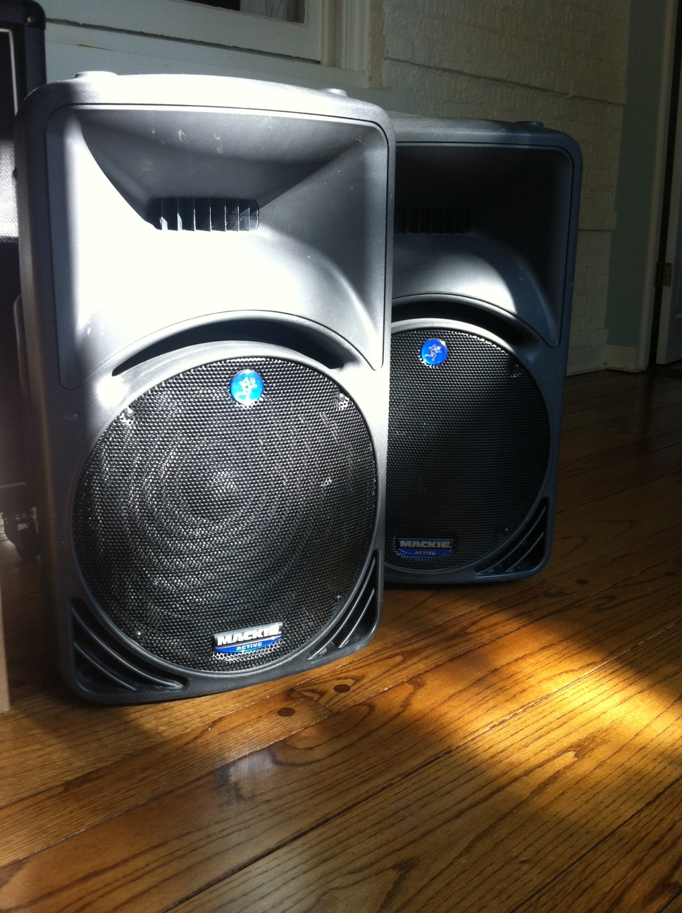 Guitar Industry Trends and Dynamics Mackie SRM450 Active Stage Monitors