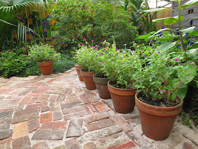 Tropical Texana: ANTIQUE BRICK COURTYARD COMES TO LIFE HERE IN THE GARDEN
