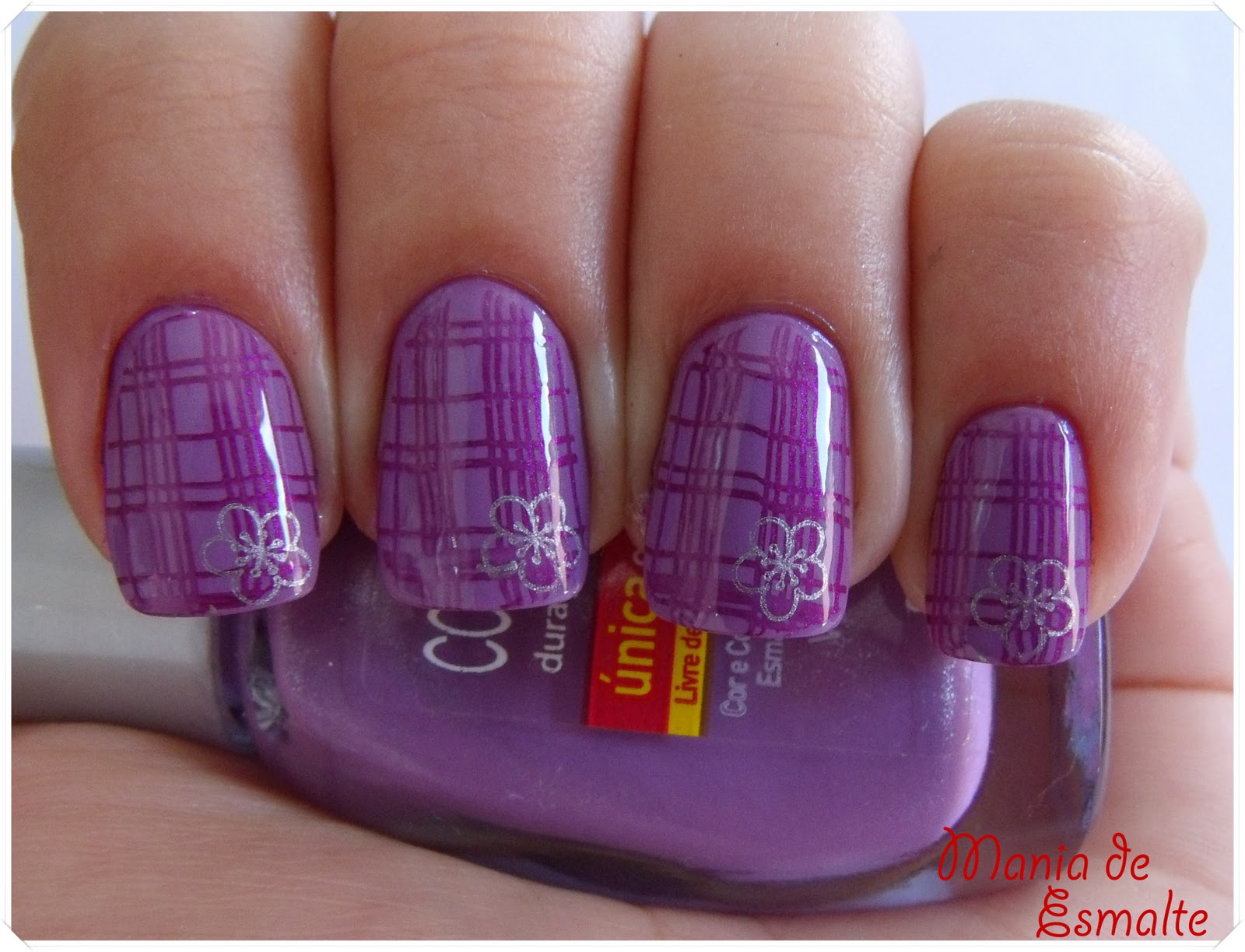 Violeta Colorama