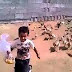 شاهد فيديو طفل ومطاردة الدجاج له مضحك جداً 