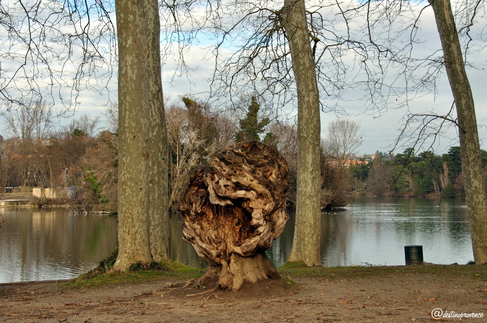 Lyon Parc de la Tête d'Or