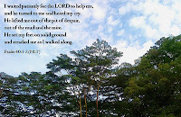 Psalm 40:1-2 (NLT)