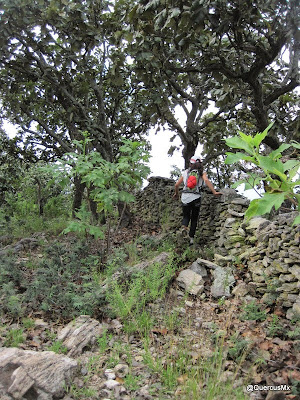 Barda que divide dos cuencas / ejidos en el Cerro Huicicil