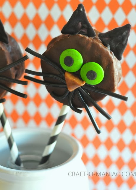 neutered guinea pig for sale