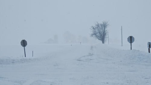 whiteout