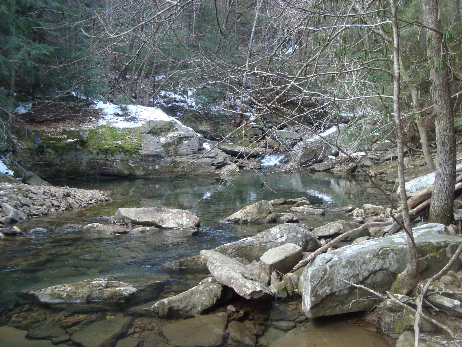 . Caney Fork, Deep Creek Scouting