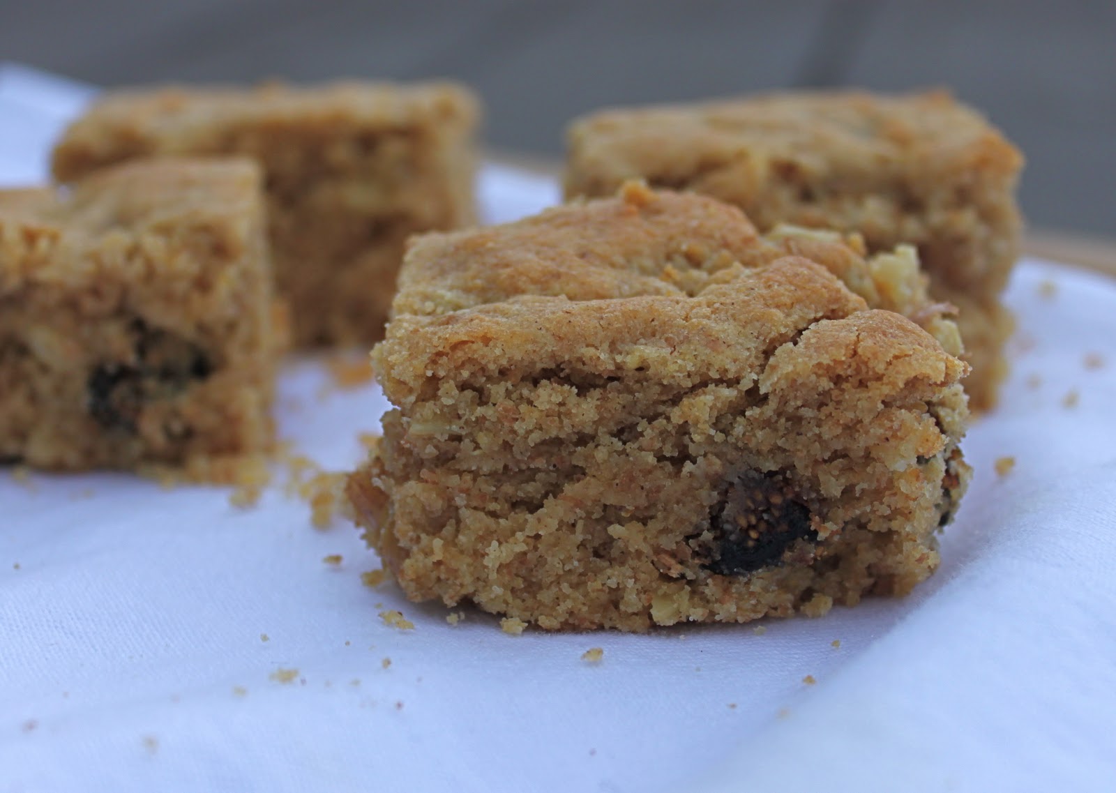 From Which Things Grow Chew on This Fig and Walnut Bars