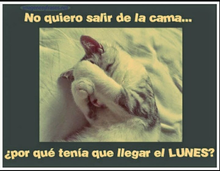 Imagenes chistosas de los lunes para descargar Imagenes chistosas de los lunes para descargar