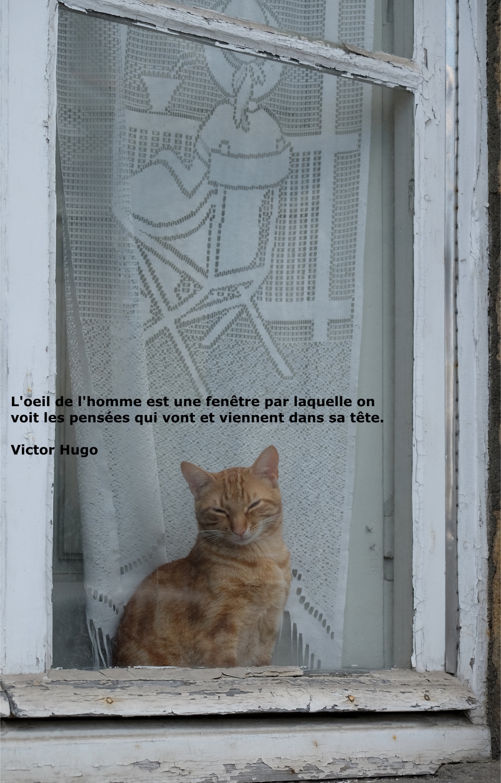 citation rencontre marquante