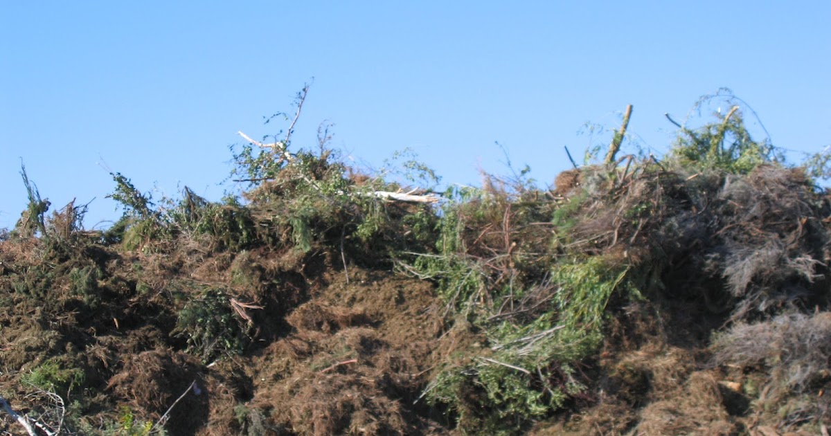 Deschutes Recycling News Free Yard Debris Recycling