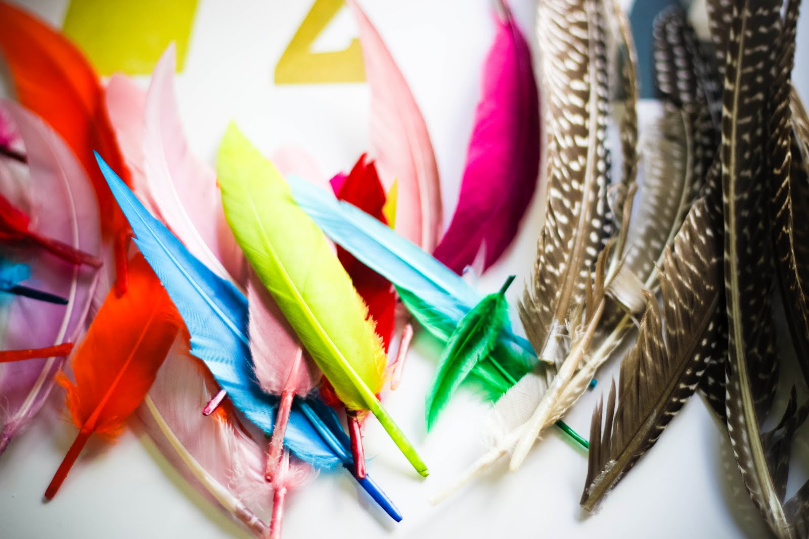 A Global Walk {The Journey} DIY Feather Headdress