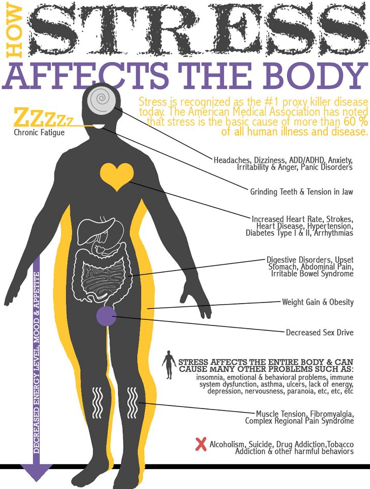 Stress effects on the body