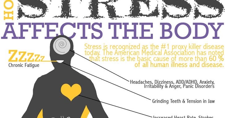 the affect of stress essay the affect of stress essay
