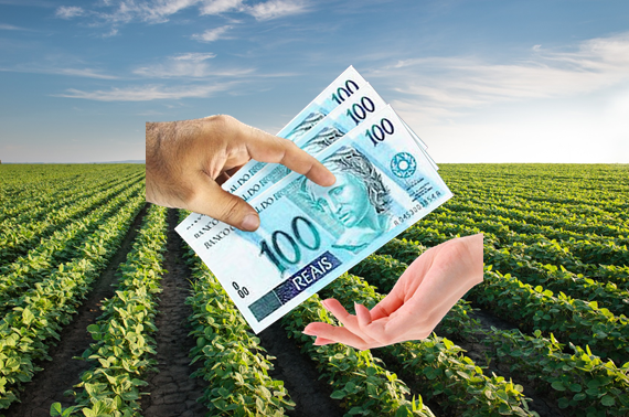 Resultado de imagem para crÃ©dito rural caixa