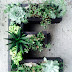 Jardines verticales con suculentas y letras.