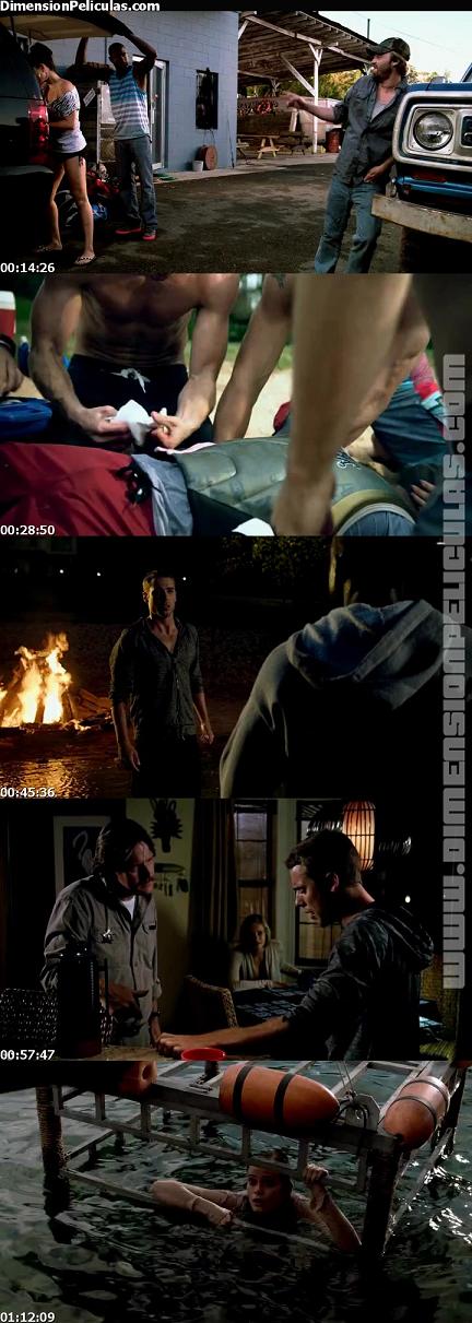 DimensionPeliculas.com