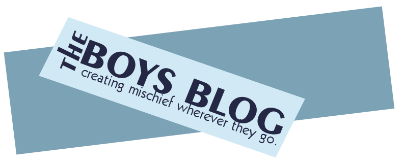 The Boy Blog