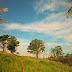 Explore - MCP Trail
