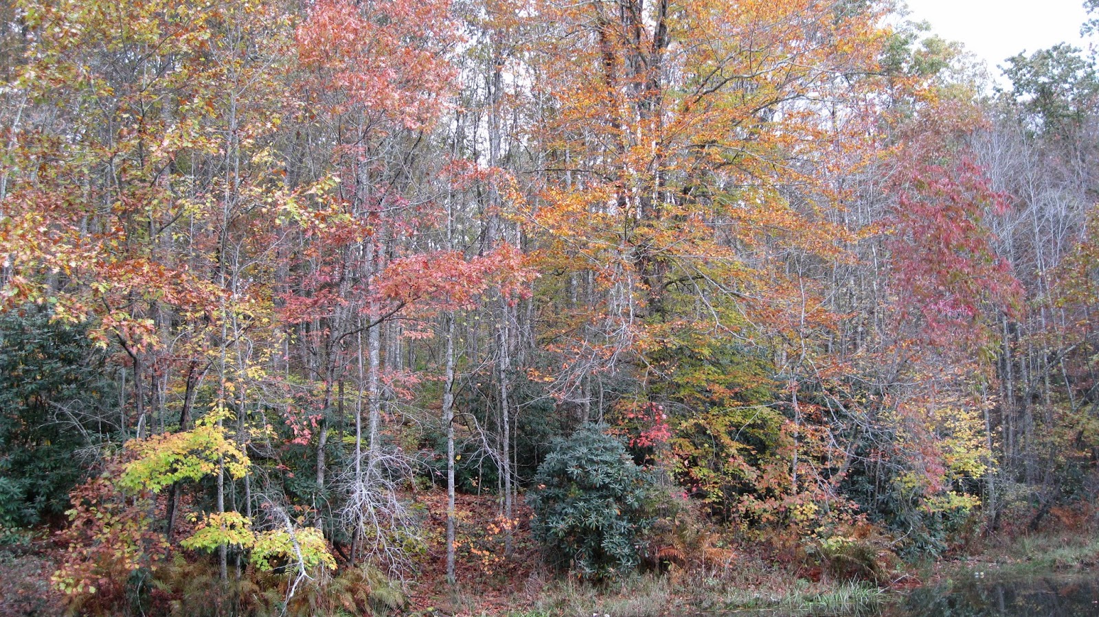 Lee County Virginia Stop 27 Keokee Lake