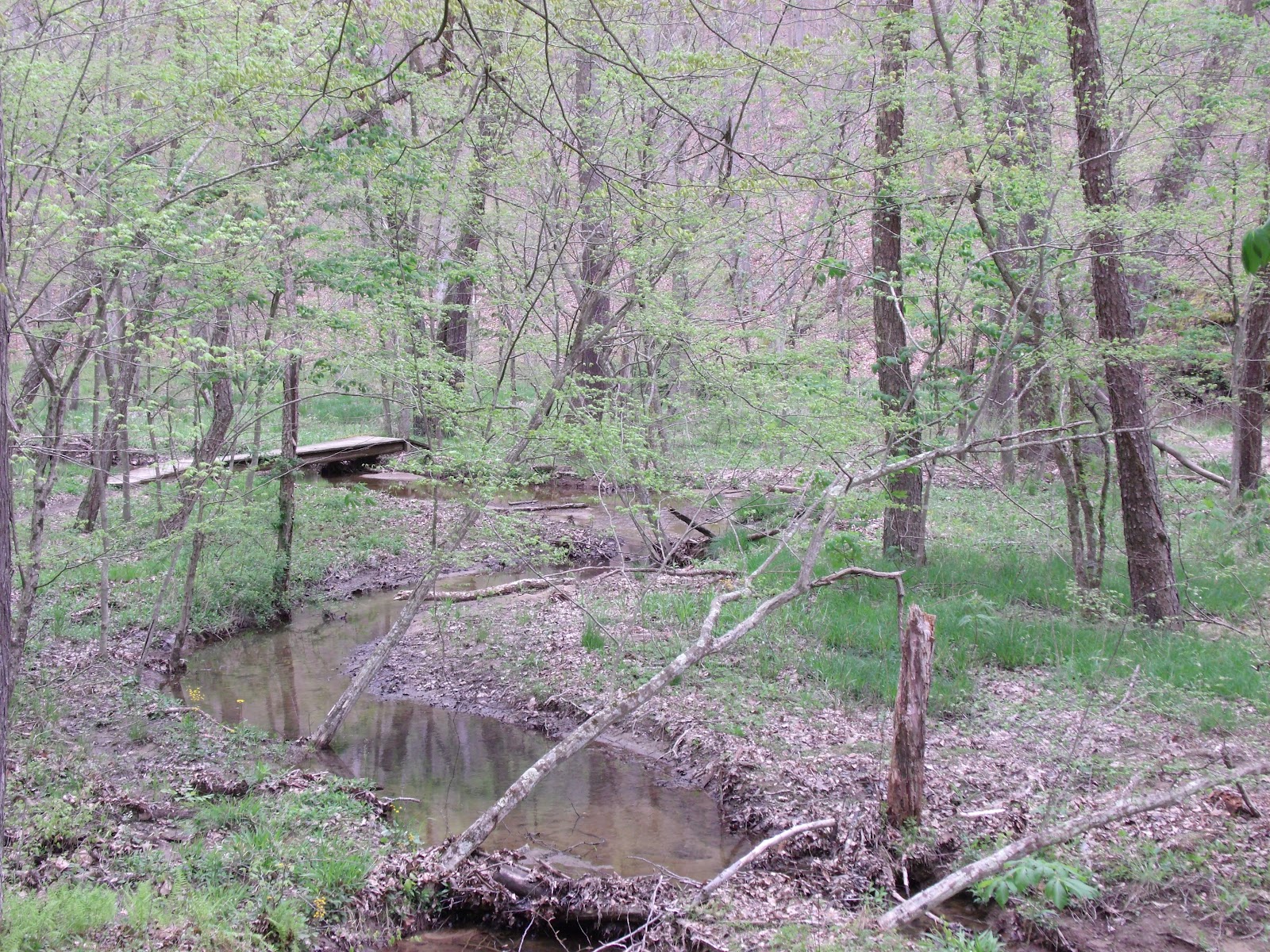 Zaleski State Forest Zaleski, Ohio Lauer's Been There Done That U.S