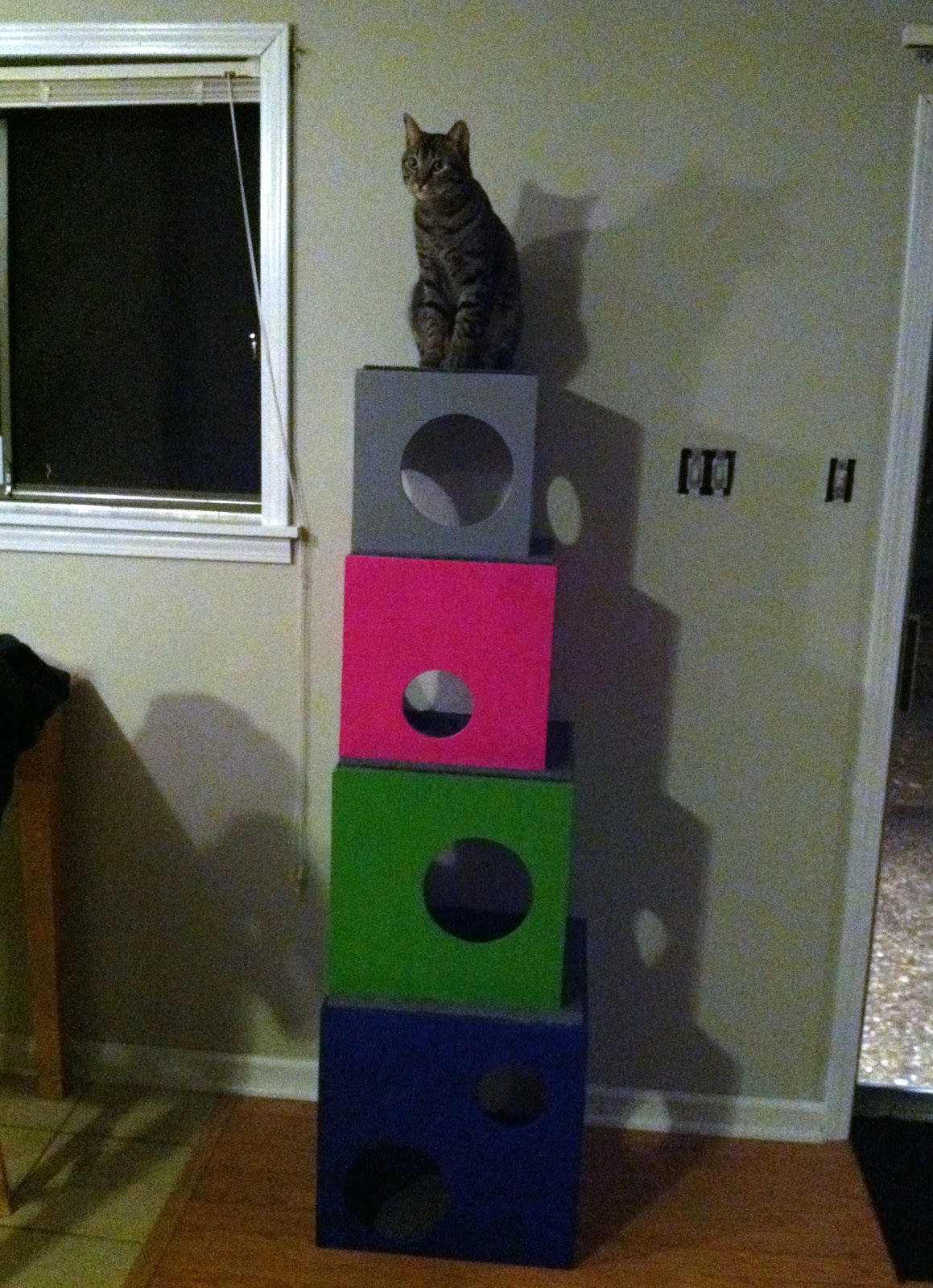 Bake it. Create it. Love it. Buddy's super cool cat condo!