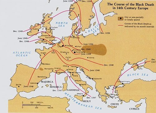 The black death essay conclusion