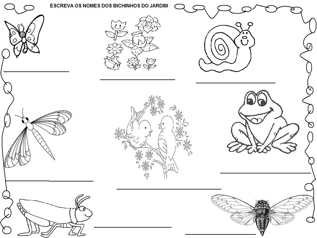 Educação Infantil Betim Leilão de Jardim Texto para Leitura Educação Infantil Betim Leilão de Jardim Texto para Leitura