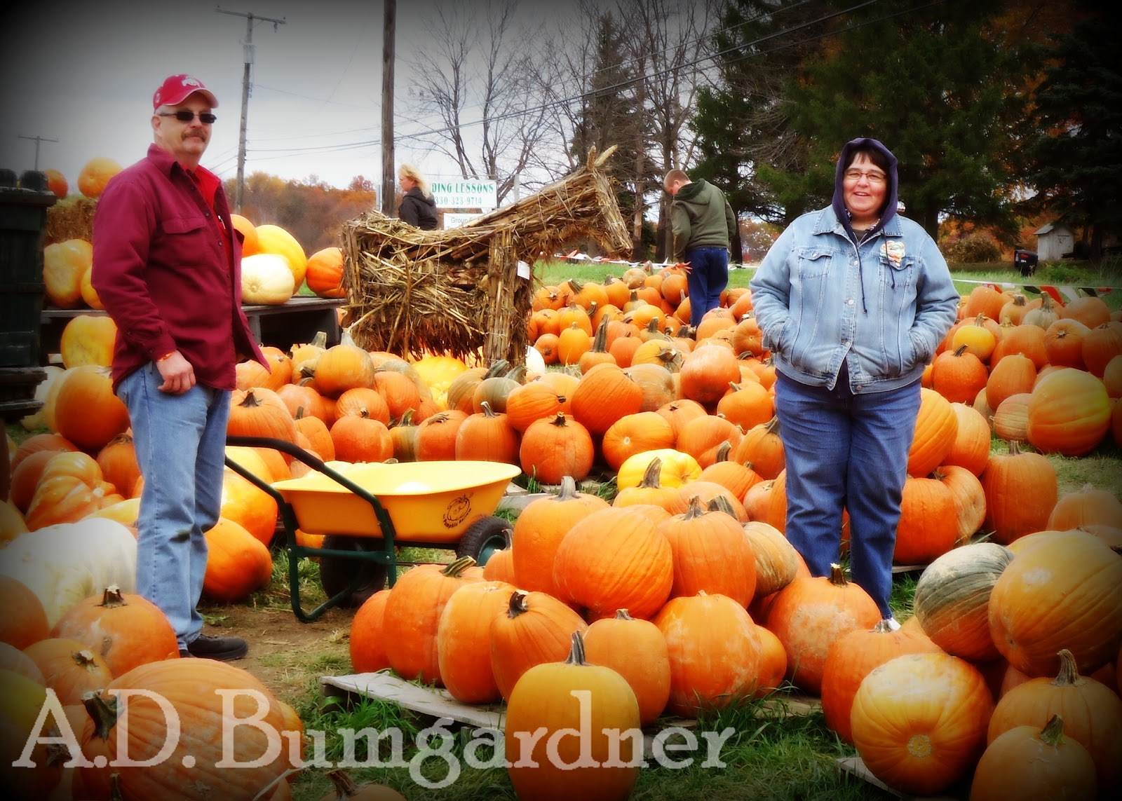 My life, in photos (mostly.): Pumpkin Patch with the Family: Set 3