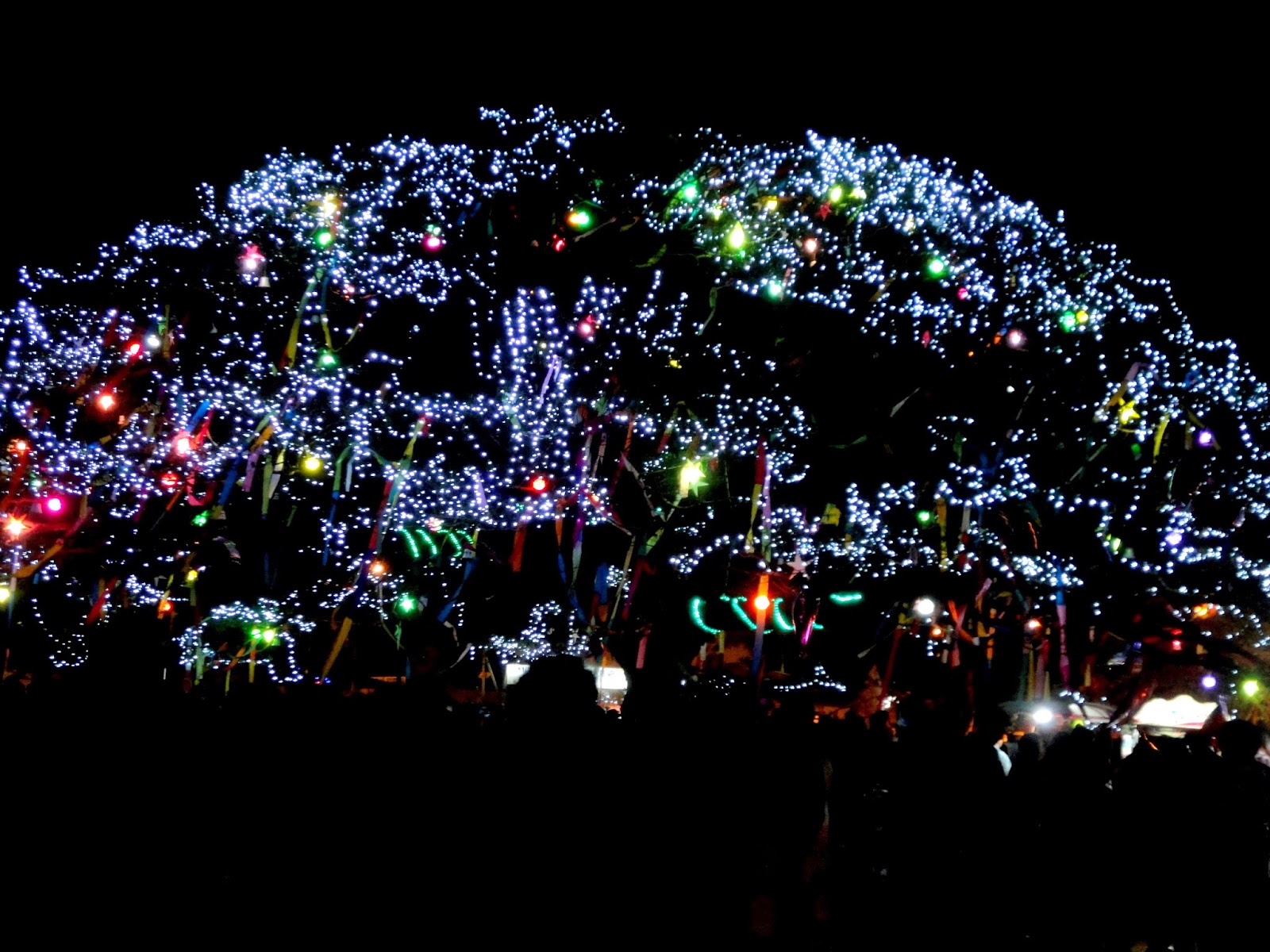 Tickled by Inspirations... Christmas and New Year in Kochi