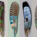 Beautiful feather painting pictures