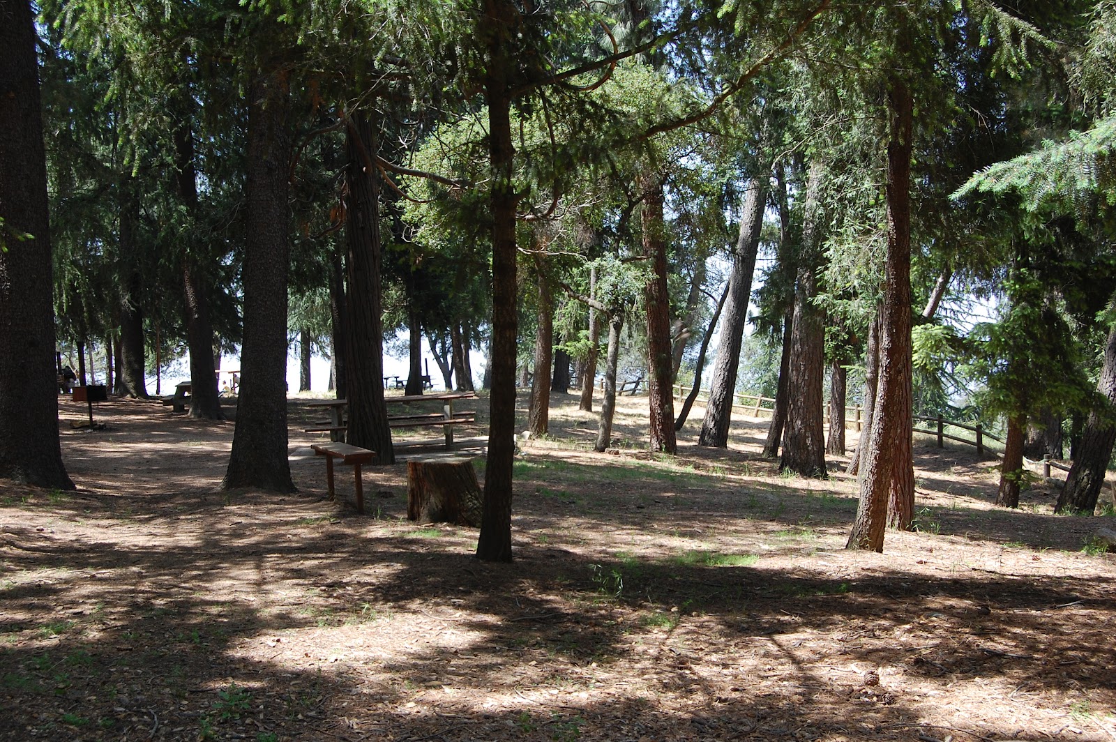 Hiking Henninger Flats East West Hike