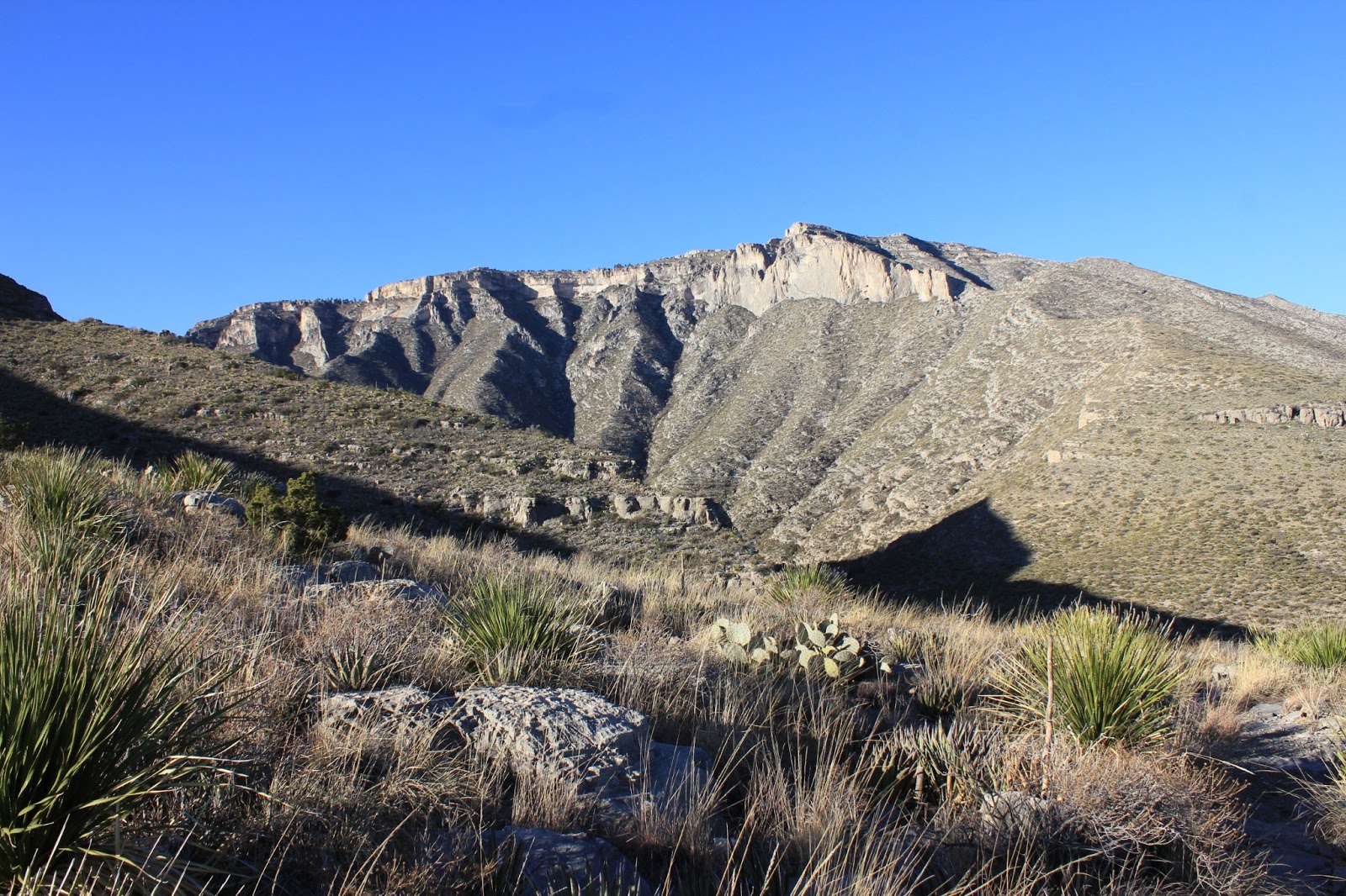 The happy anachronism a fishing blog Guadalupe Mountains National