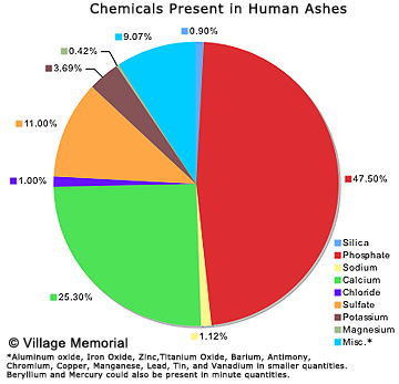 Village Memorial What S In Cremated Remains