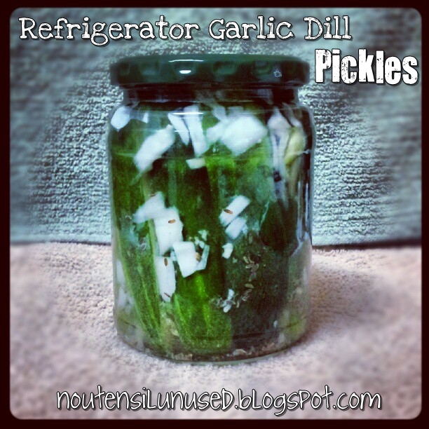 Refrigerator Garlic Dill Pickles Recipe No Utensil Unused