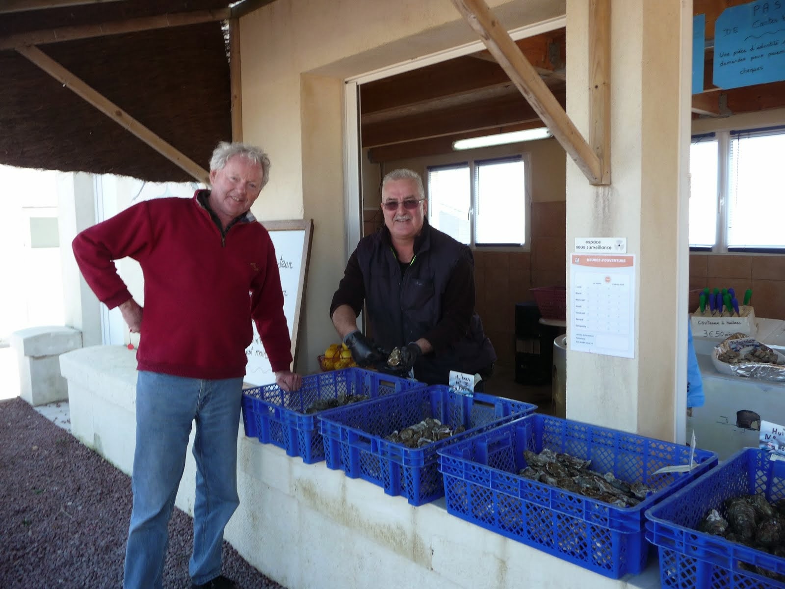 The Oyster Shucker and Me