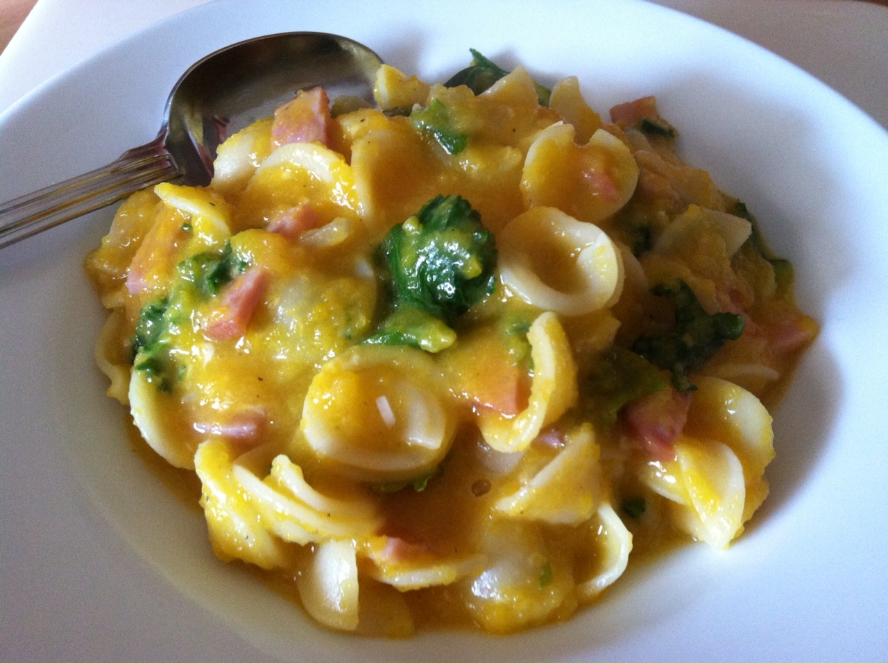SourdoughNative Pasta with Ham, Kale and Parmesan Butternut Squash Sauce