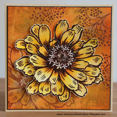 00 bloem jumbo corine s art gallery stendous jumbo zinnia 00 bloem jumbo corine s art gallery stendous jumbo zinnia