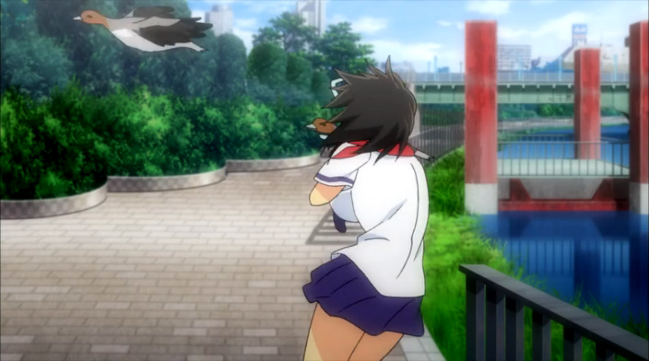 Senran Kagura Senran Kagura