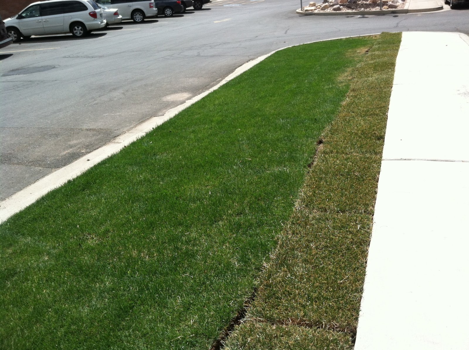 Grow How Mowing Your Lawn for Drought