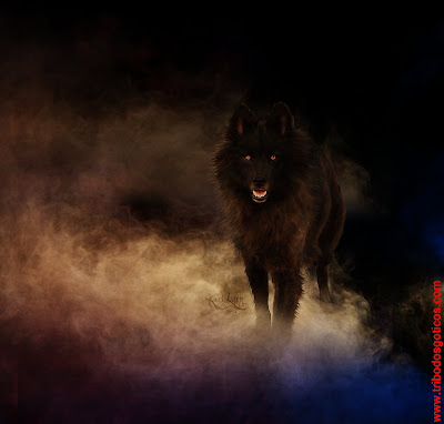 LOBO FEROZ