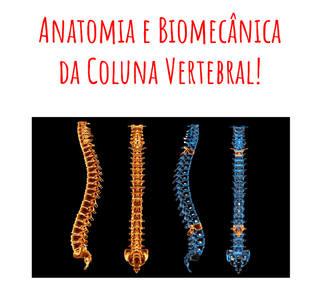 Ebook Grátis Anatomia e Biomecânica da Coluna Vertebral