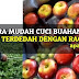 Cara Mudah Cuci Buah & Sayuran Yang Terdedah Dengan Racun Serangga
