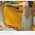 Designer Embroidered Lawn Collection 2015-16 Volume 1 By VS Textile Mills