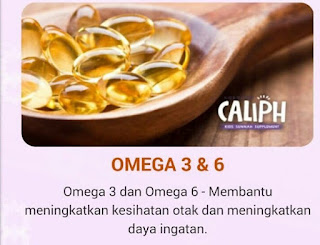 Omega 3 dan 6 