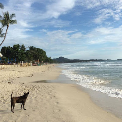 Koh Samui, Thailand daily weather update; 11th November, 2015