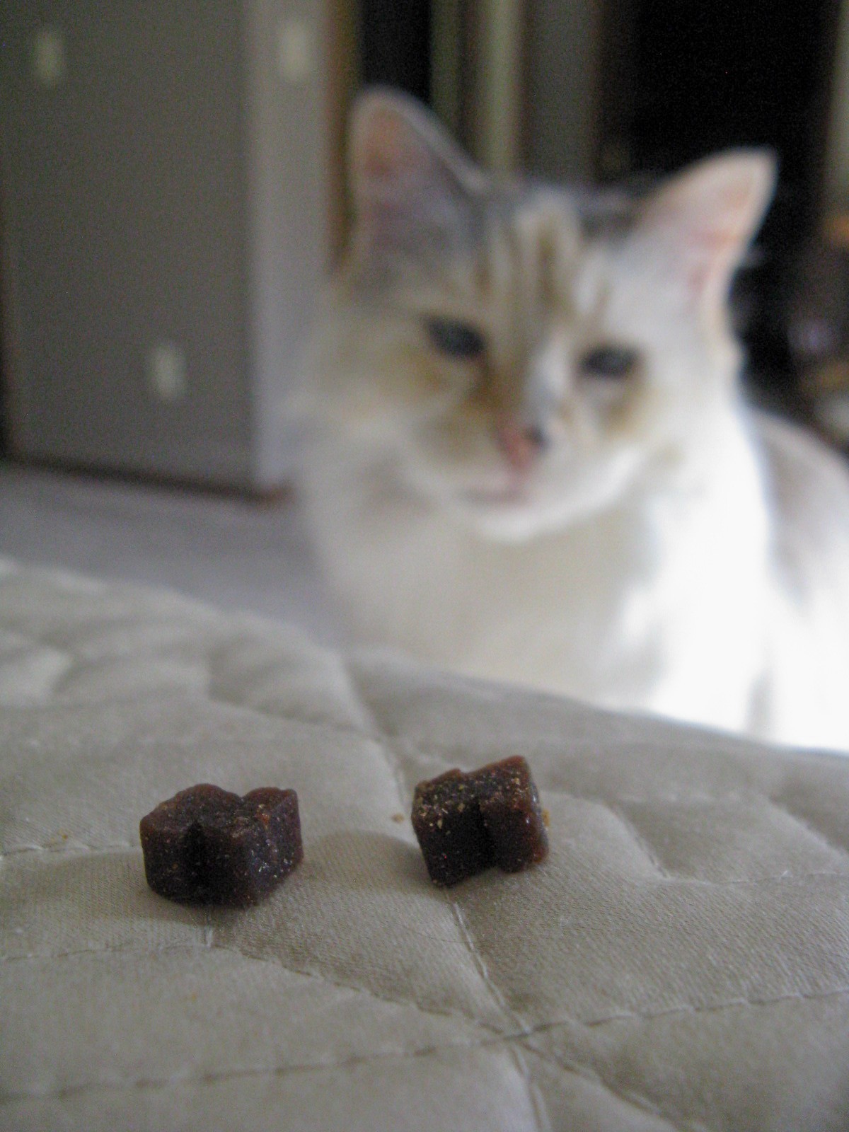 BeadedTail Zuke's Treats for Cats Review and Giveaway