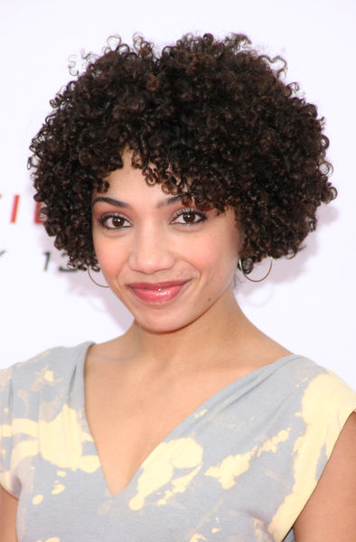 The New Elegant Black Woman: Great Shows With Desirable Black Women