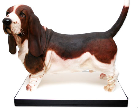 How Do You Make A Cake Shaped Like A Dog How Do You Make A Cake Shaped Like A Dog