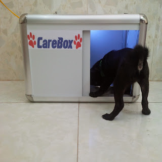 Chiếc Hộp Cho Chó Mèo Ăn Tự Động - 3