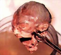 Image result for aborted babies